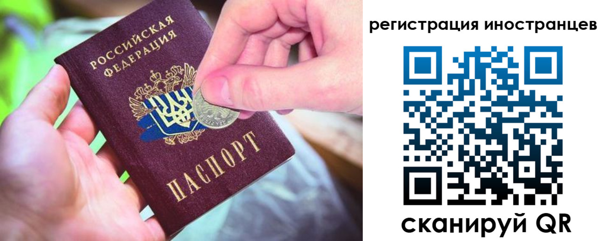 прописка для работы в Камышине